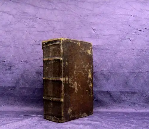 Biblia oder die ganze heilige Schrift altes und neues Testament 1731 Theologie