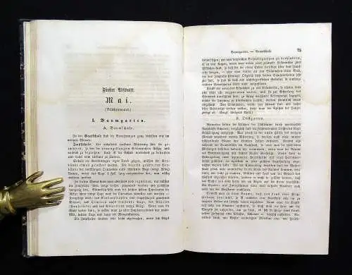 Förster, Gruner Anweisung zum Gartenbau 1862 Gärtner ,Gartenfreunde Zierpflanzen