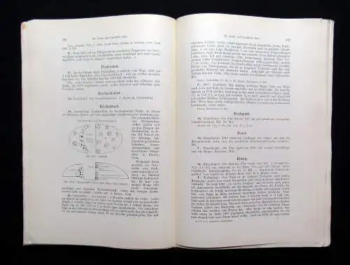 Auerbach, Alfred Die vor-und frühgeschichtlichen Alterthümer Ostthüringens 1930