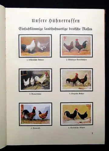 Nordmark der Kleintierzüchter Sammelbilderalbum 1933 179 Bilder so komplett