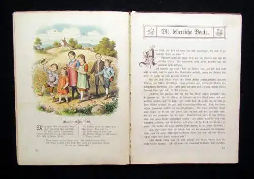 Versus Barmführ Lämmerweide Ein Bilderbuch für unsre lieben Kinder um 1900