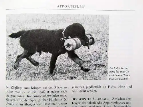 Tabel Der Jagd-Gebrauchs-Hund Abrichten und Führen 1998 186 Fotos 9 Zeichnungen