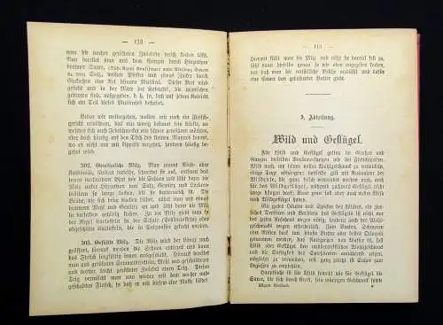 Schreiber Allgemeines Koch- Buch für den bürgerlichen Haushalt um 1900 Ernährung