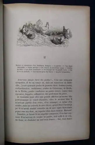 Saintine Le Chemin Des Ecoloiers Promenade De Paris A Marly-Le-Roy 1861 js