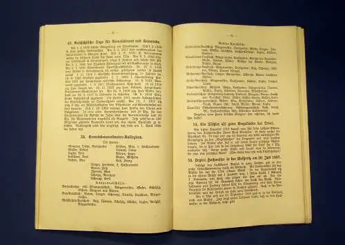 Naumann Geschichtliche Aufzeichnungen a Klingenbergs Vergangenheit 1925 selten m