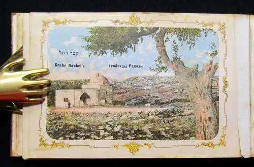 Blumen und Ansichten Aus dem heiligen Lande Jerusalem 1900 Herbarium Olivenholz