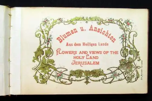 Blumen und Ansichten Aus dem heiligen Lande Jerusalem 1900 Herbarium Olivenholz