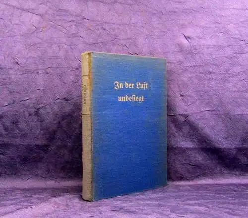 In der Luft unbesiegt 1923 Erlebnisse im Weltkrieg erzählt von Luftkämpfern