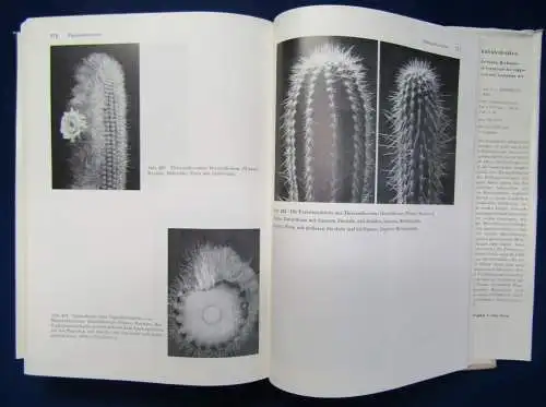 Backeberg Das Kakteenlexikon 1976 Enumeratio diagnostica Cactacearum Botanik  js