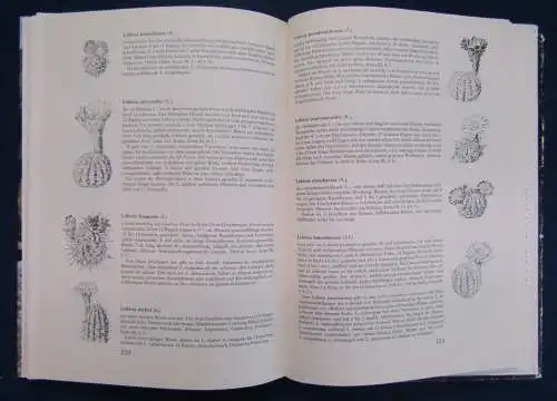 Haage Das praktische Kakteenbuch/ Freude mit Kakteen 1963, 1980 Botanik  js