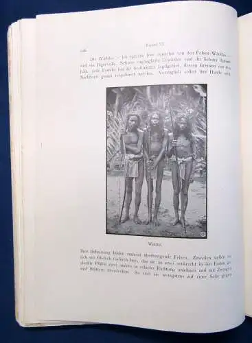 Geiger Ceylon Tagebuchblätter u. Reiseerinnerungen unbeschnitten 1898 Lyrik js