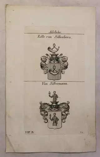 Kupferstich Wappen Familie Edle von Silberhorn & Von Silbermann 1825 Heraldik xz