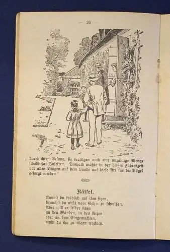 Müller Original Broschur Tierschutz- Kalender 1911 Erzählungen Tiere Zoologie js