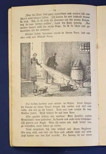 Müller Original Broschur Tierschutz- Kalender 1911 Erzählungen Tiere Zoologie js