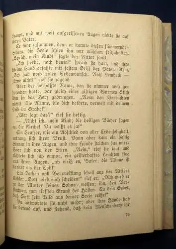 Thedor Storm Ausgewählte Werke 1-3 komplett 1919 Klassiker Literatur js