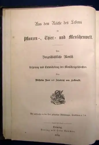 Hellwald Der vorgeschichtliche Mensch Ursprung u. Entwicklung d.Menschen 1874 js