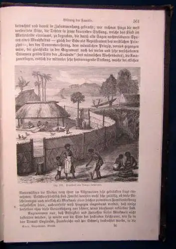 Hellwald Der vorgeschichtliche Mensch Ursprung u. Entwicklung d.Menschen 1874 js