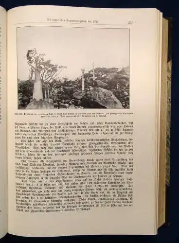 Scobel Geographisches Handbuch 2 Bde. Allgemeine Erdkunde 1909 Länderkunde js