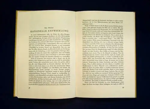 Höpner Das Chaos und andere Urweltanekdoten 1933 sehr selten Urknall Saurier mb