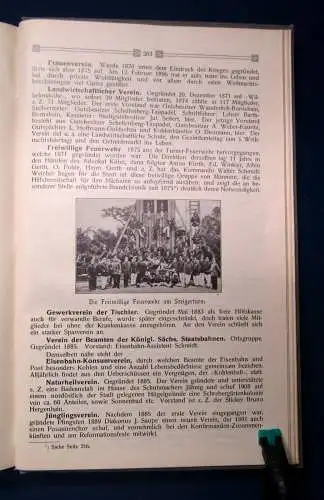 Glasewald Chronik der Stadt Gössnitz 1910 Landeskunde Thüringen Bildband js