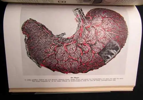 Fritz Kahn Das Leben des Menschen 5 Bde. komplett und Beilagen 1922-31 Anatomie