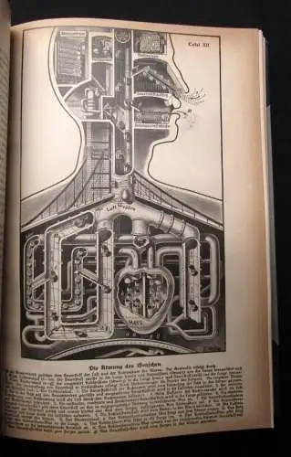 Fritz Kahn Das Leben des Menschen 5 Bde. komplett und Beilagen 1922-31 Anatomie