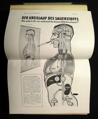 Fritz Kahn Das Leben des Menschen 5 Bde. komplett und Beilagen 1922-31 Anatomie