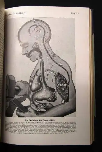 Fritz Kahn Das Leben des Menschen 5 Bde. komplett und Beilagen 1922-31 Anatomie