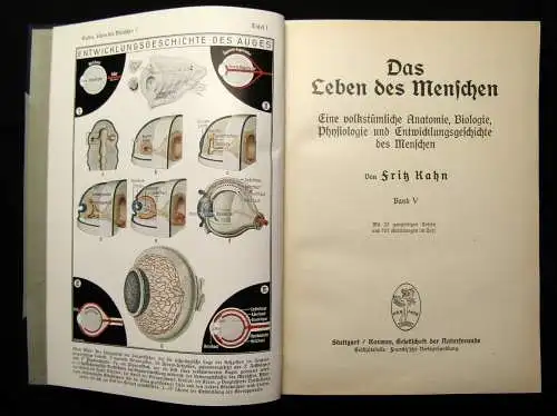 Fritz Kahn Das Leben des Menschen 5 Bde. komplett und Beilagen 1922-31 Anatomie