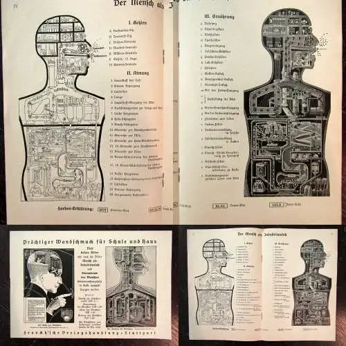 Fritz Kahn Das Leben des Menschen 5 Bde. komplett und Beilagen 1922-31 Anatomie