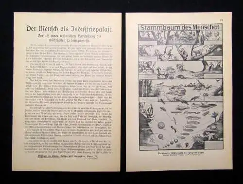 Fritz Kahn Das Leben des Menschen 5 Bde. komplett und Beilagen 1922-31 Anatomie