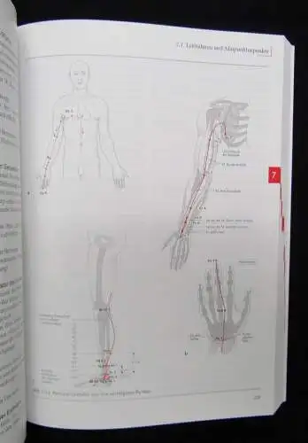 Bäcker, Hammes Akupunktur in der Schmerztherapie 2005 Leitlinien Leitfaden