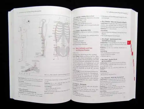 Bäcker, Hammes Akupunktur in der Schmerztherapie 2005 Leitlinien Leitfaden