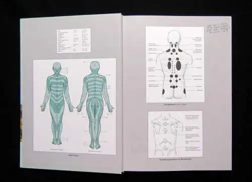 Therapiehandbuch Akupunktur, Therapiehandbuch Naturheilkunde 1997,99 Heilung