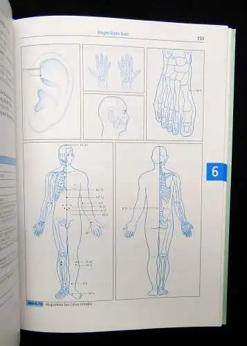 Therapiehandbuch Akupunktur, Therapiehandbuch Naturheilkunde 1997,99 Heilung