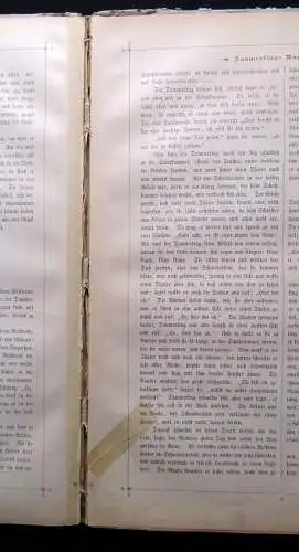 Hoffmann, T. (Hrsg.), Ins Märchenland. Eine Sammlung echter Kindermärchen  1890