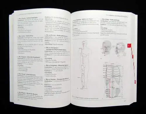 Bäcker, Hammes Akupunktur in der Schmerztherapie 2005 Leitlinien Leitfaden