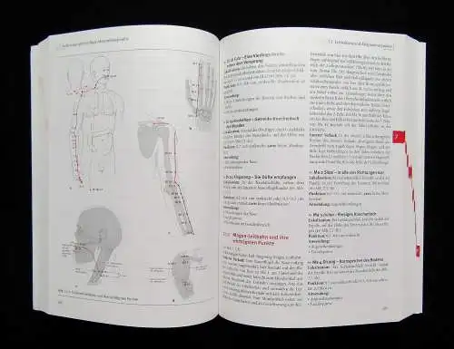 Bäcker, Hammes Akupunktur in der Schmerztherapie 2005 Leitlinien Leitfaden