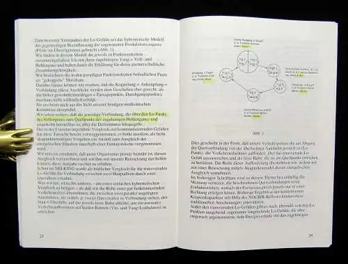 Zeitler/Bahr/Straube Körper-u. Schädelakupunktur für mäßig Fortgeschrittene 1988