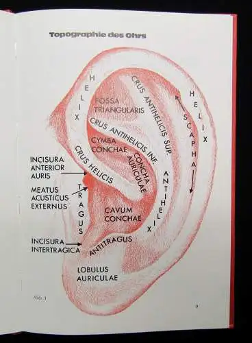 Schrecke, Wertsch Ohrakupunktur für die Praxis 1975 Heilung Methoden Vorgehen