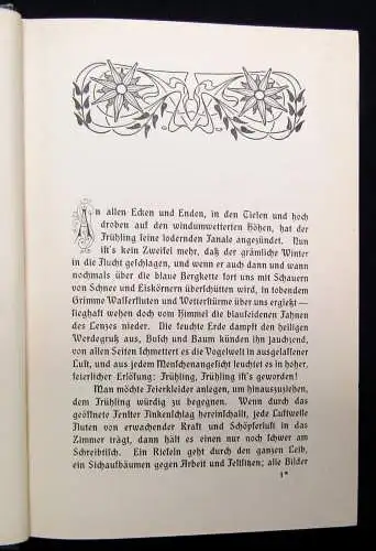 Trinius Thüringer Land Original Ausgabe 1905 Erzählungen Roman Abenteuer