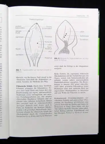 Rubach Propädeutik der Ohr- Akupunktur Mikrosystem der Ohrmuschel 1995 Anatomie