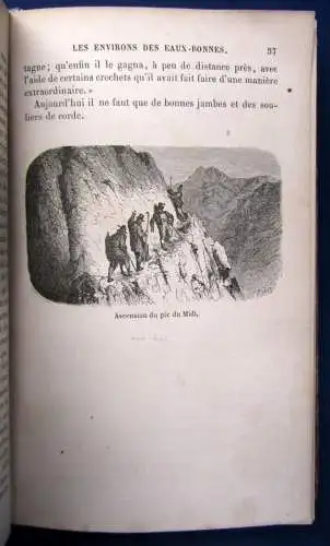 Taine Voyage aux eaux des Pyre'ne'es 64 Holzstiche v. Gustav Dore EA 1855 js