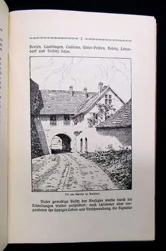 Schultze Wanderungen durch den Saalkreis Geschichtlich u.kulturhistorisch 5 Bde.