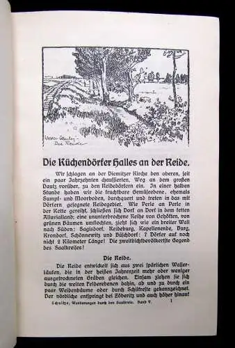 Schultze Wanderungen durch den Saalkreis Geschichtlich u.kulturhistorisch 5 Bde.