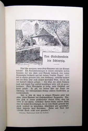 Schultze Wanderungen durch den Saalkreis Geschichtlich u.kulturhistorisch 5 Bde.