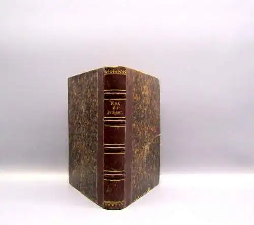 Scott; Stein Die Puritaner für die reifere Jugend 1866 Literatur Lyrik