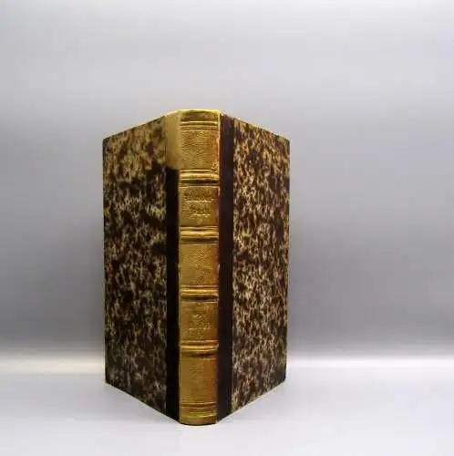 Riehl Wanderbuch Die Naturgeschichte des Volkes 1869 Geschichte 4.Bd apart