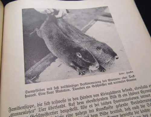 Zanker Die Praxis der Sumpfbiberzucht 1. Aufla. mit 136 Bildern und Zeichnungen