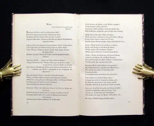 Johannes R. Becher Gedichte für ein Volk 1919 Literatur Lyrik Belletristik